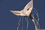 32 FESTIVAL CERVIA 2012 - 224